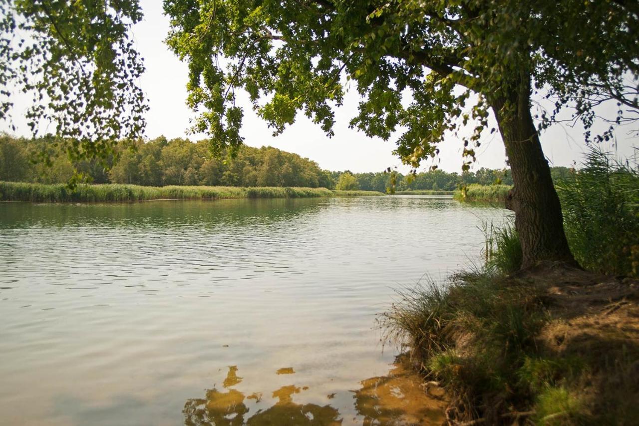 Hospoda-Ferienhaus Am Olba-See Malschwitz Bagian luar foto