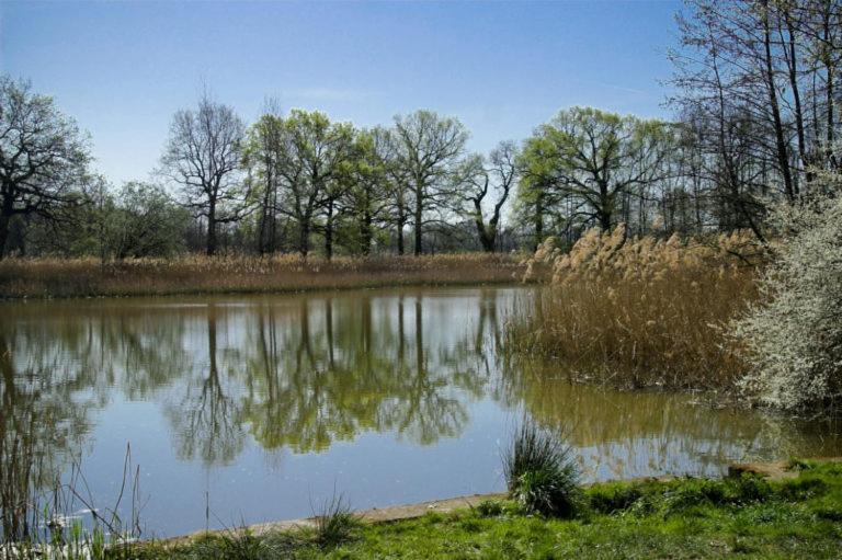 Hospoda-Ferienhaus Am Olba-See Malschwitz Bagian luar foto